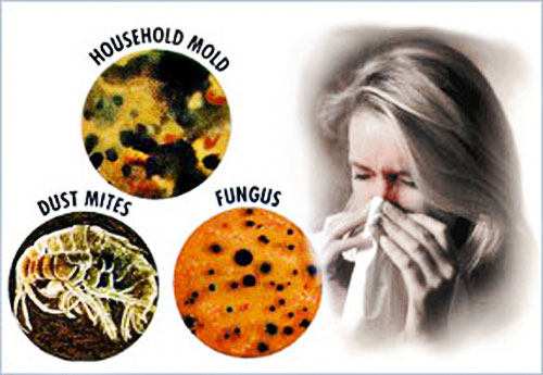 home-allergens-asthma