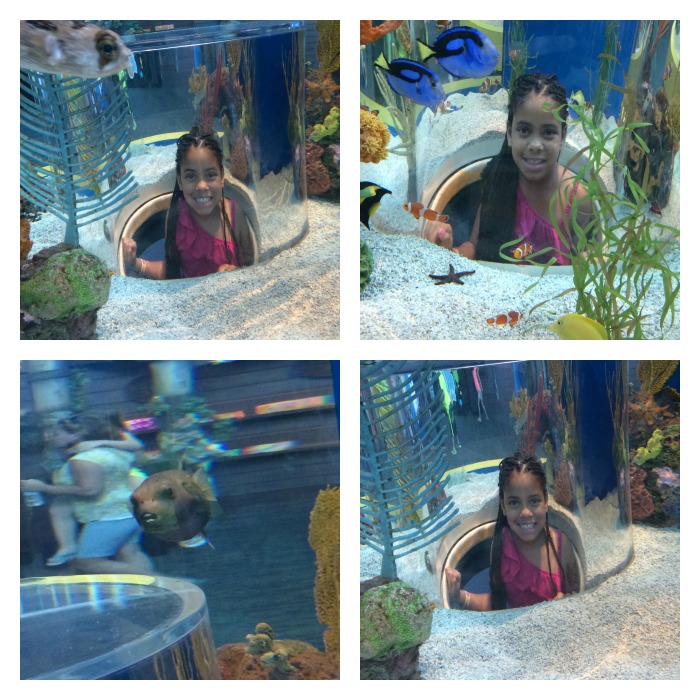 Jada Inside Fish Tank