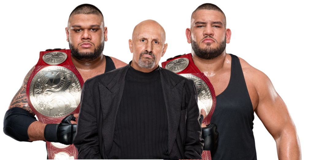 Who Answers the Bar at WrestleMania 34 For the Raw Tag Titles