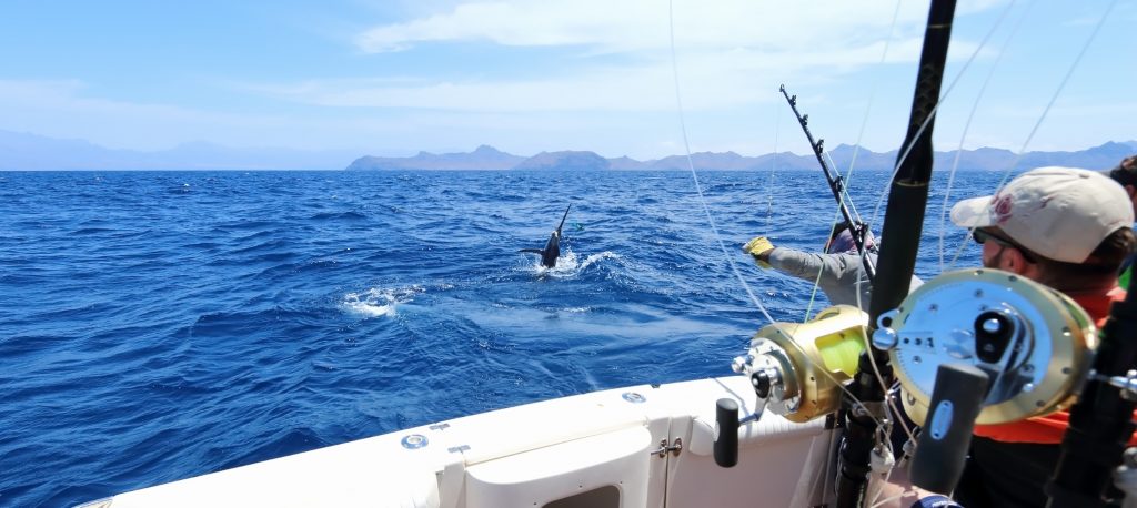 The Basics of Deep Sea Fishing