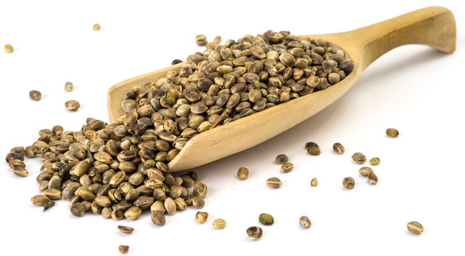 6 Essential Benefits of Using Hemp For Better Health