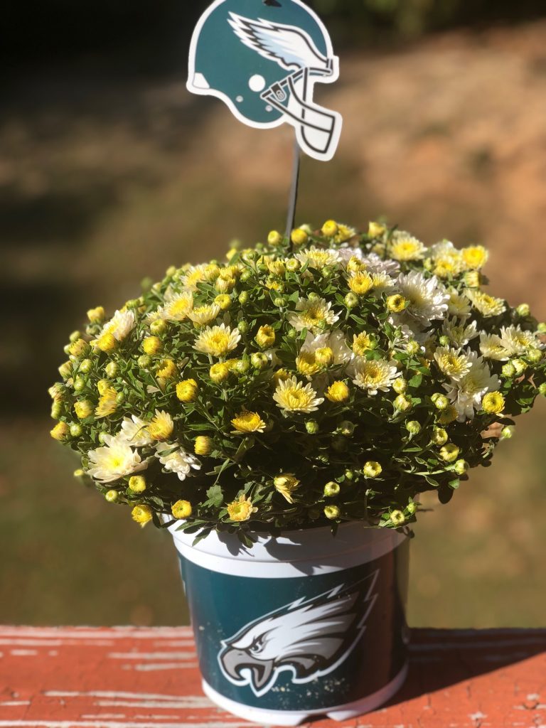 Peep The Amazing Sports Themed Flowers 