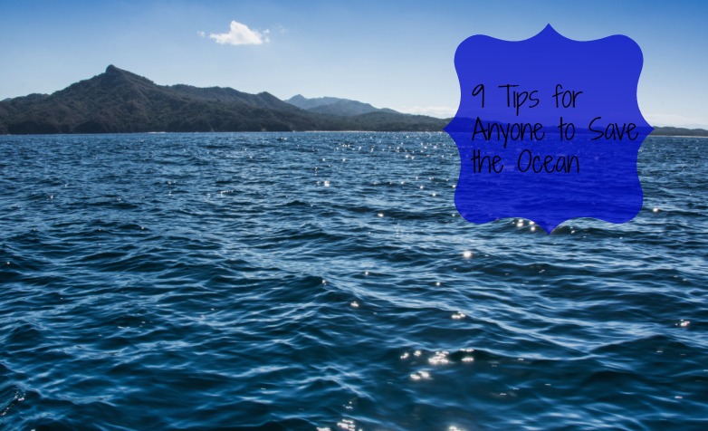 9 Tips for Anyone to Save the Ocean
