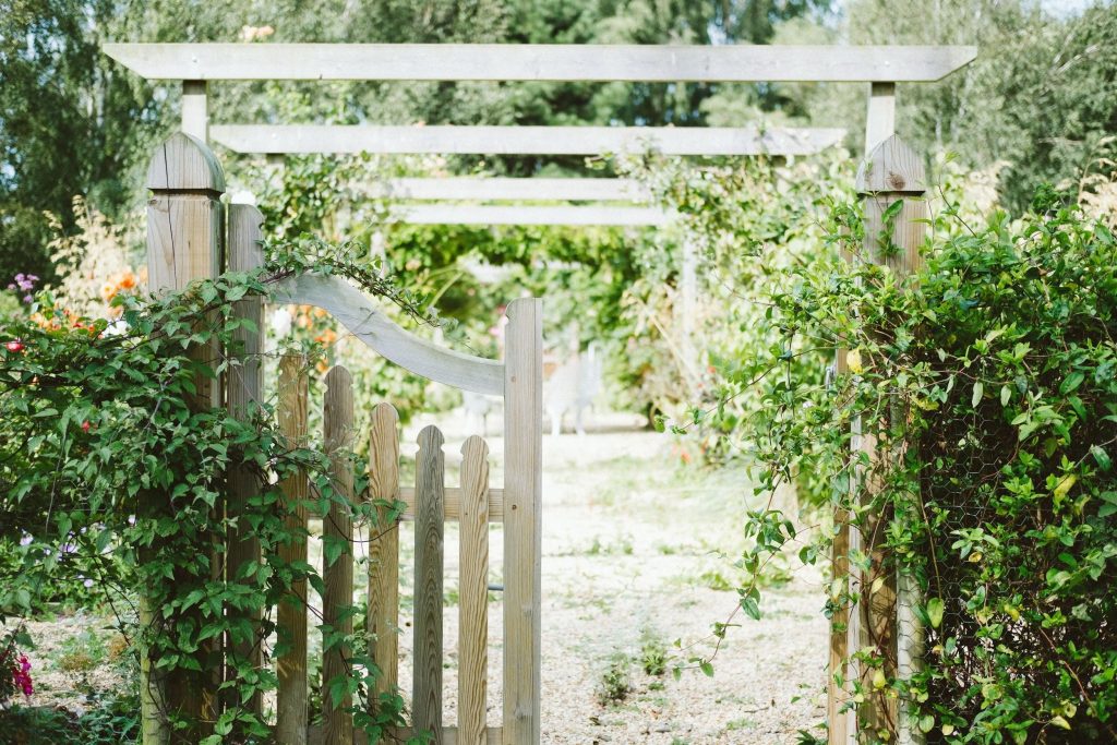 Can a Well-Maintained Backyard Increase the Value of Your Home 