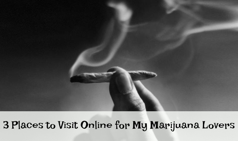 3 Places to Visit Online for My Marijuana Lovers