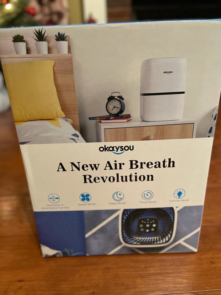 Several Reasons Why You Need the Okaysou Air Purifier More Than Ever 
