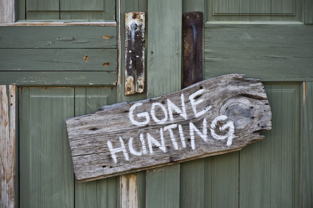 Interested in Hunting? 5 Helpful Ideas on Where to Start