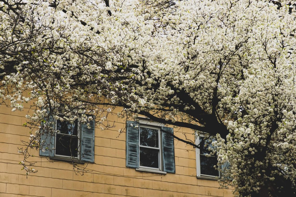 4 Spring Jobs To Get Your Home Ready For The New Season