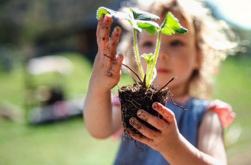 How to Get Your Kids Involved in Gardening