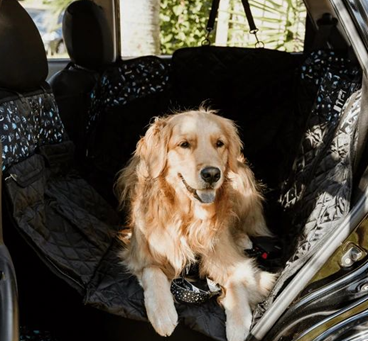 How to Choose the Right Dog Car Seat Cover