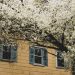 4 Spring Jobs To Get Your Home Ready For The New Season