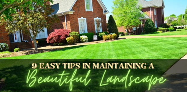 9 Easy Tips in Maintaining a Beautiful Landscape