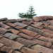 5 Telling Signs Your Roof Needs Replacement